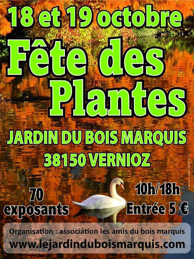 Visuels haute qualité tous supports